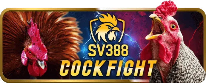 Đá gà trực tuyến Pho88